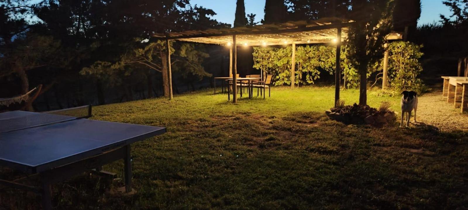 Casa Al Maestro B&B Радикофани Екстериор снимка